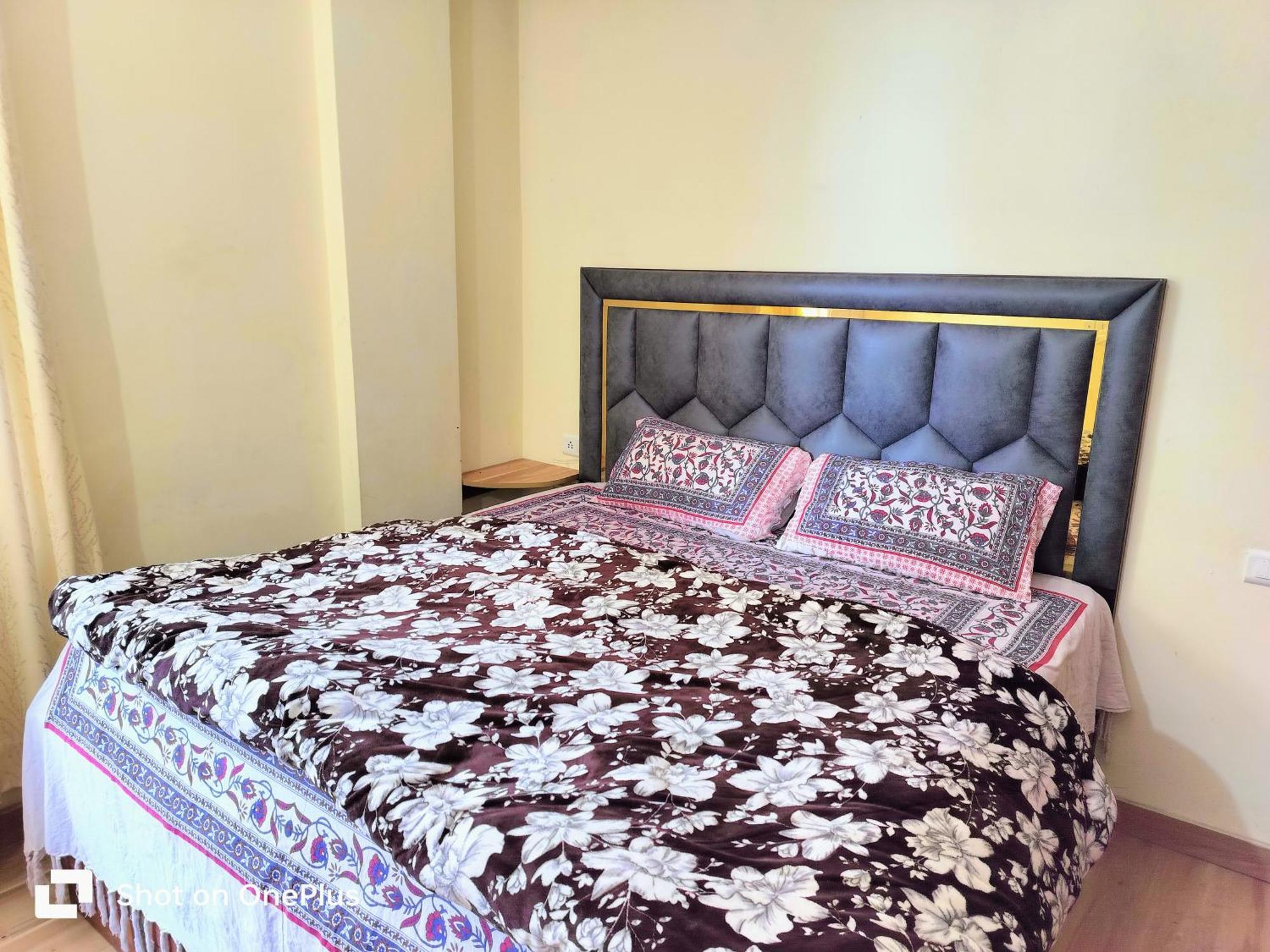 Shimla Vibes B & B Free Pick And Drop From Isbt Shimla Zewnętrze zdjęcie
