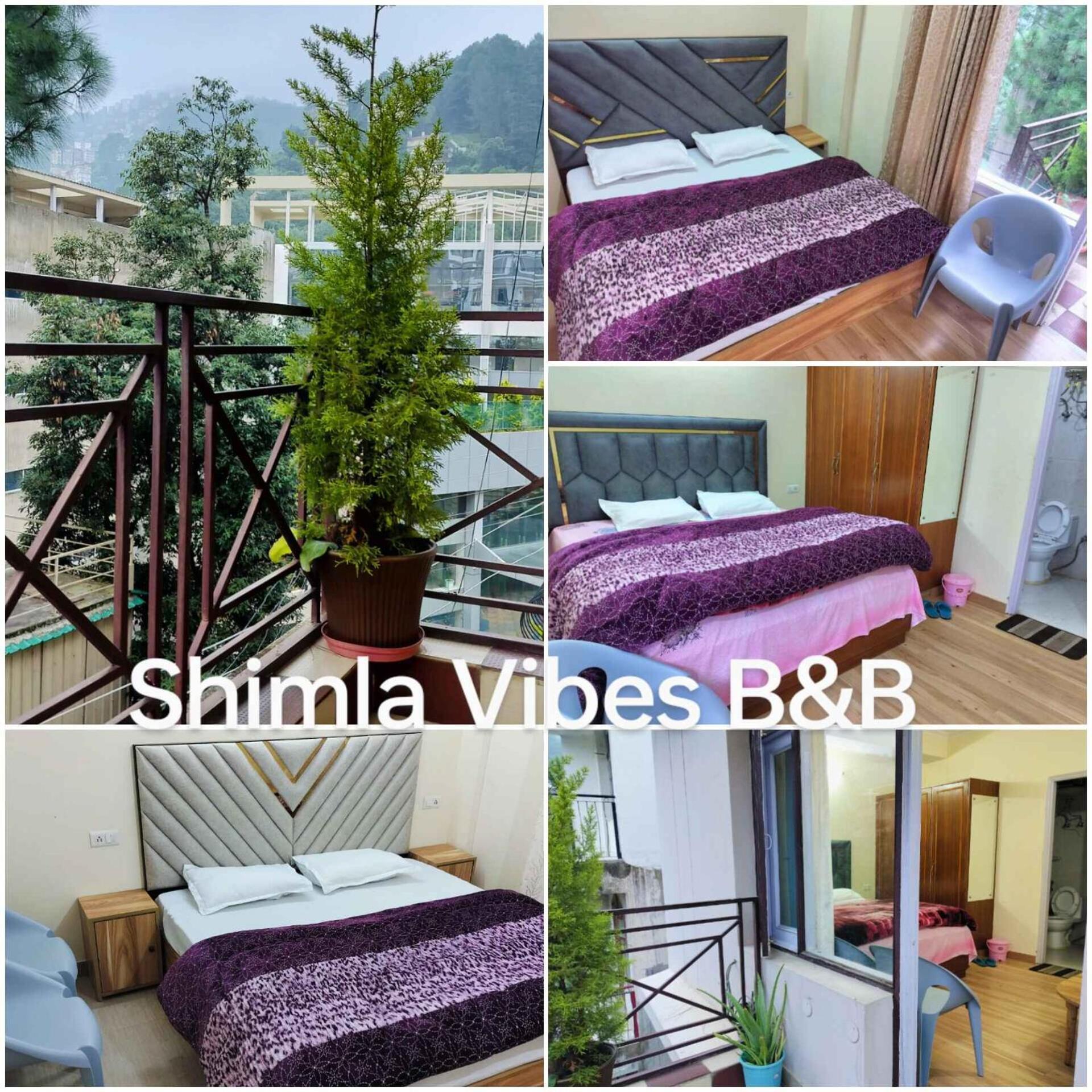 Shimla Vibes B & B Free Pick And Drop From Isbt Shimla Zewnętrze zdjęcie